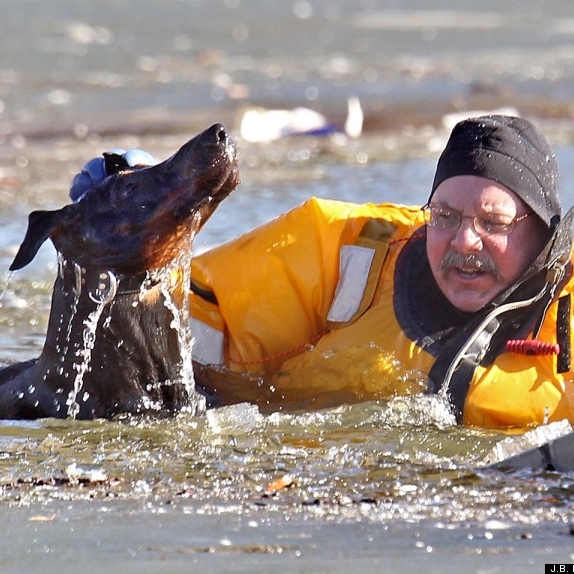 Beautiful images of  animals being rescued from deadly situations